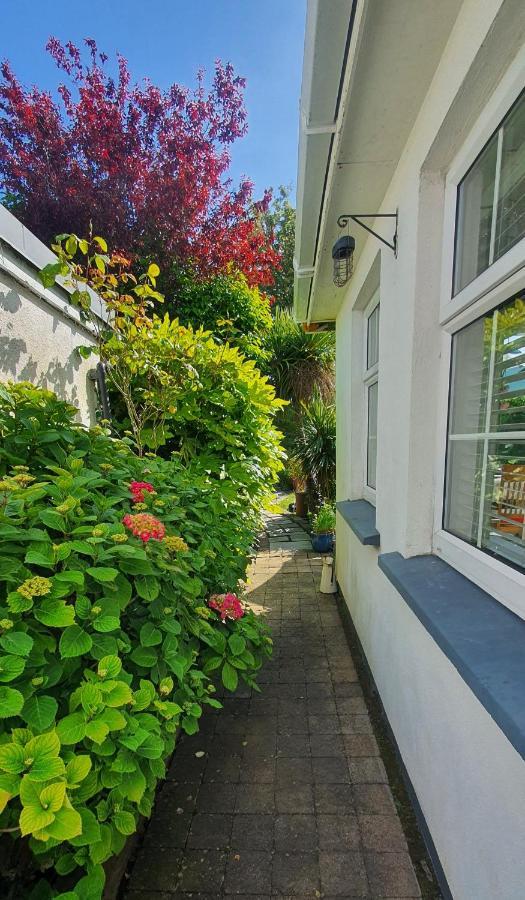 124 ,Castlelawn Heights, Headford Road Galway Homestay Esterno foto