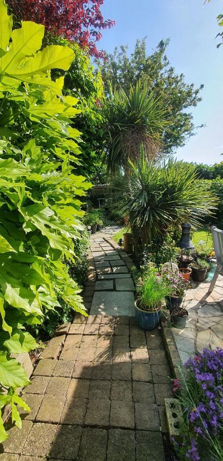 124 ,Castlelawn Heights, Headford Road Galway Homestay Esterno foto